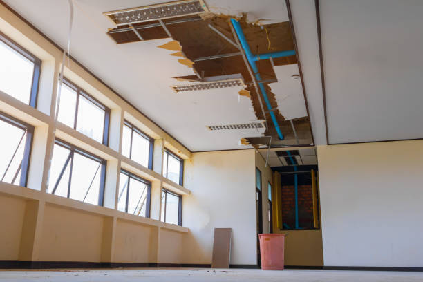 Best Local water damage restoration  in Porterdale, GA