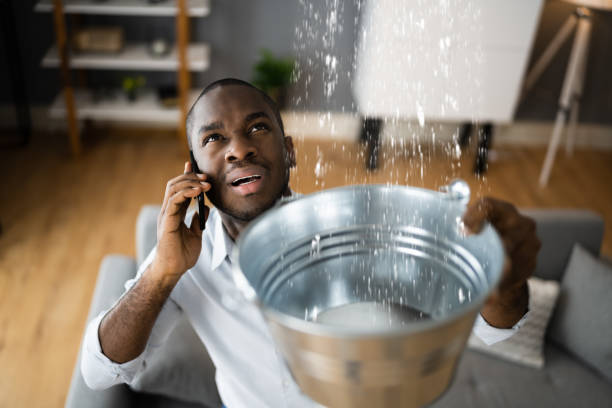 Best Ceiling water damage repair  in Porterdale, GA