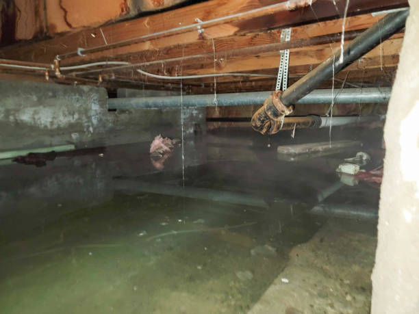 Best 24-hour water damage restoration  in Porterdale, GA