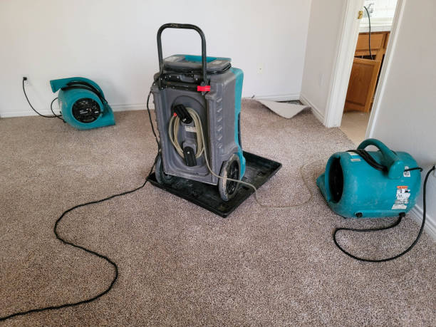 Water damage restoration insurance claims in Porterdale, GA