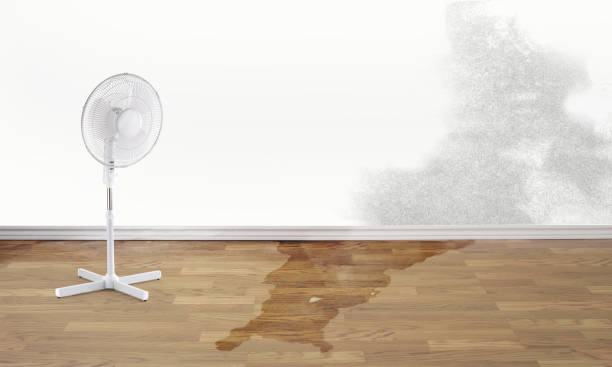 Best Water damage restoration process  in Porterdale, GA