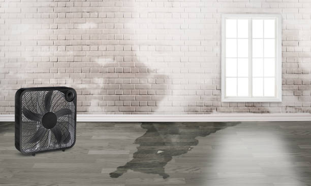 Best Commercial water damage restoration  in Porterdale, GA