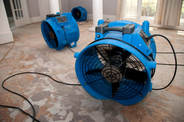 Best Professional water damage repair  in Porterdale, GA
